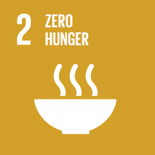 SDG 2